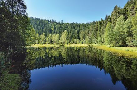 Ausblick auf den Ellbach See des Luxushotel Schwarzwald