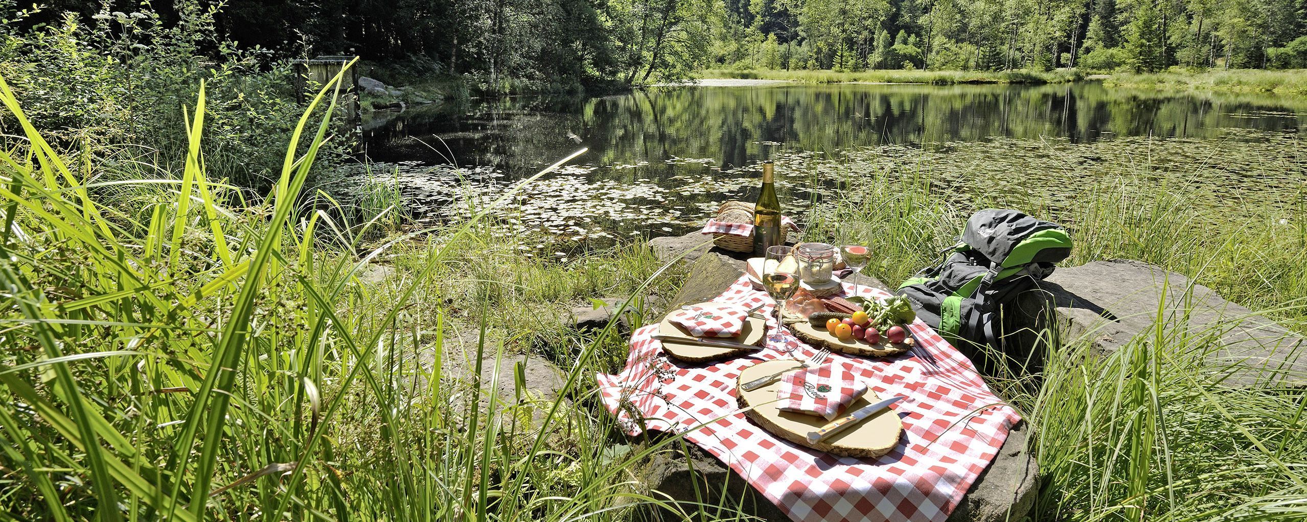 [Translate to français:] 