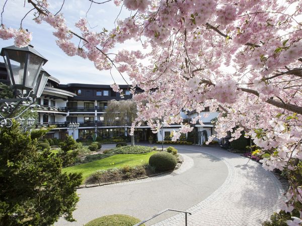 Außenansicht des Hotel Bareiss mit rosaroten Kirschblüten im Vordergrund