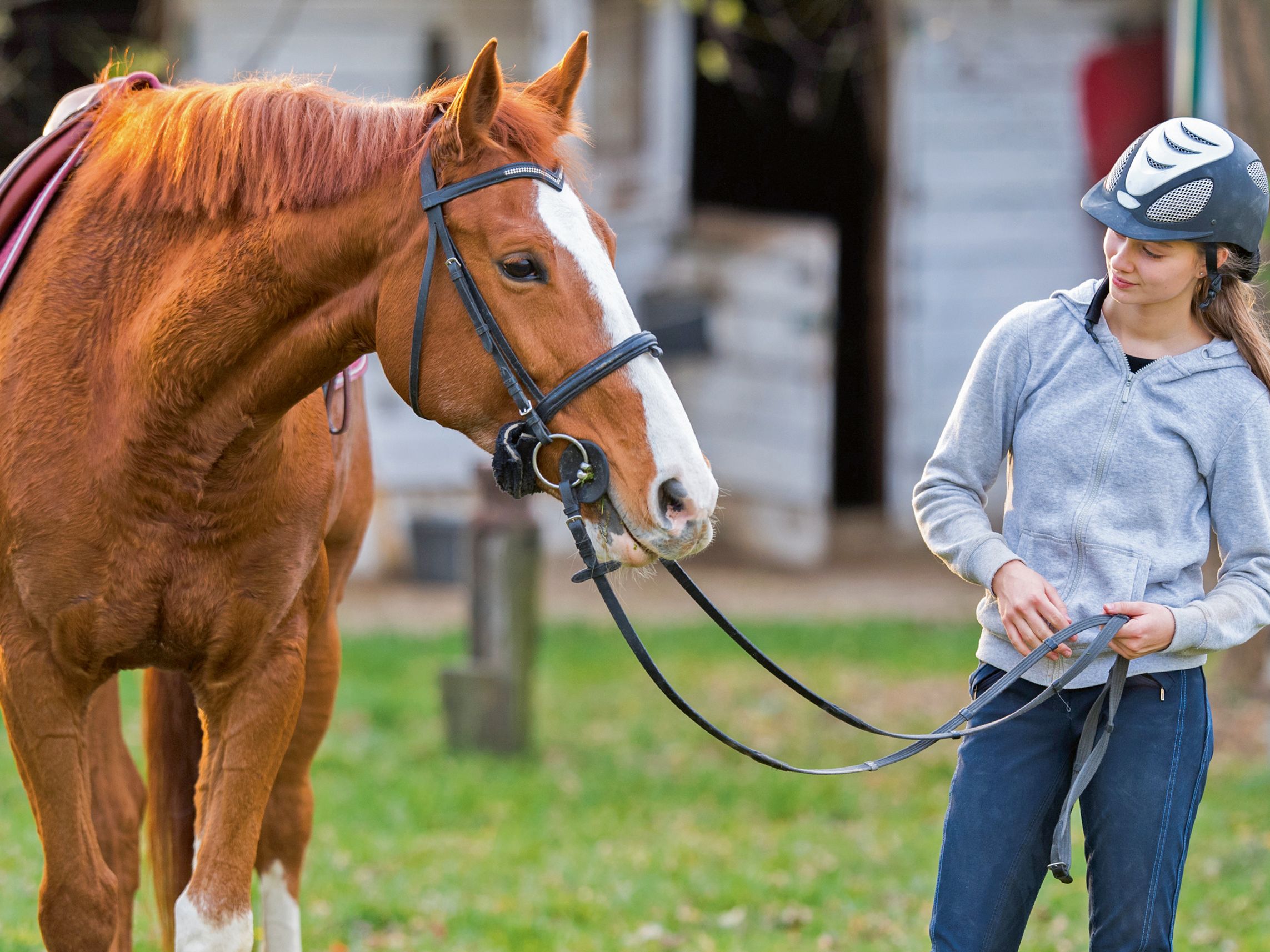 Ein Mädchen führt ein Pferd an der Trense
