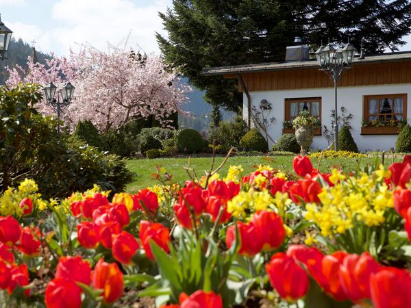 Aufnahme aus einem Blumenbeet vor einem Haus im Grünen des Schwarzwalds