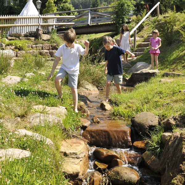 Viele Kinder an einem kleinen Bach beim Bachlauf 