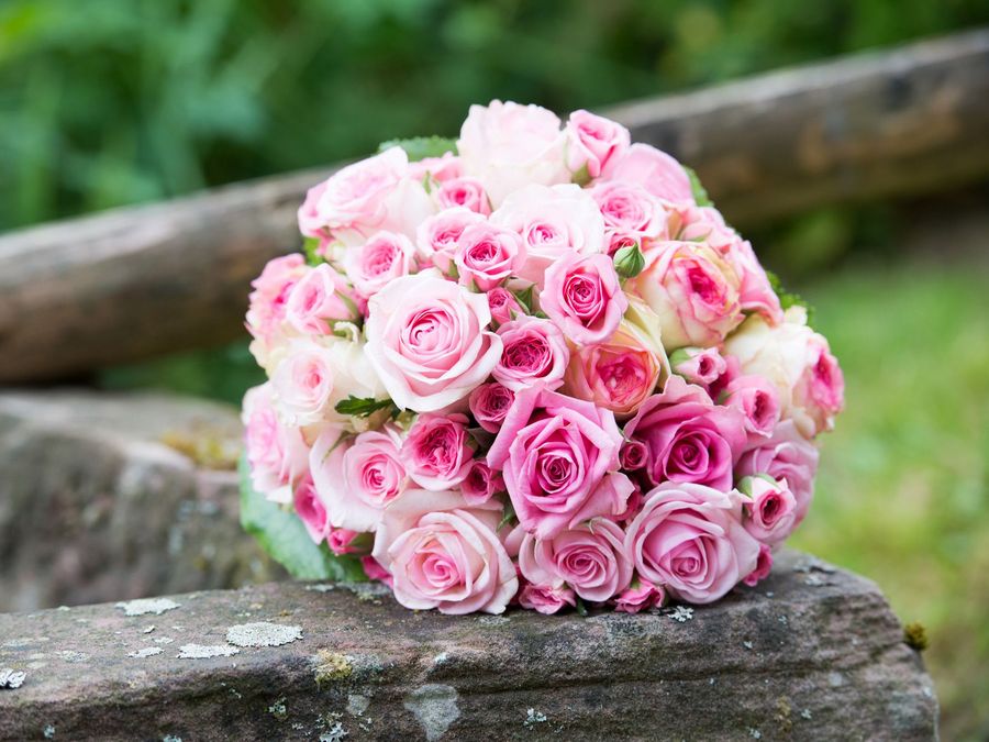 Ein großer Strauß mit pinken Rosen