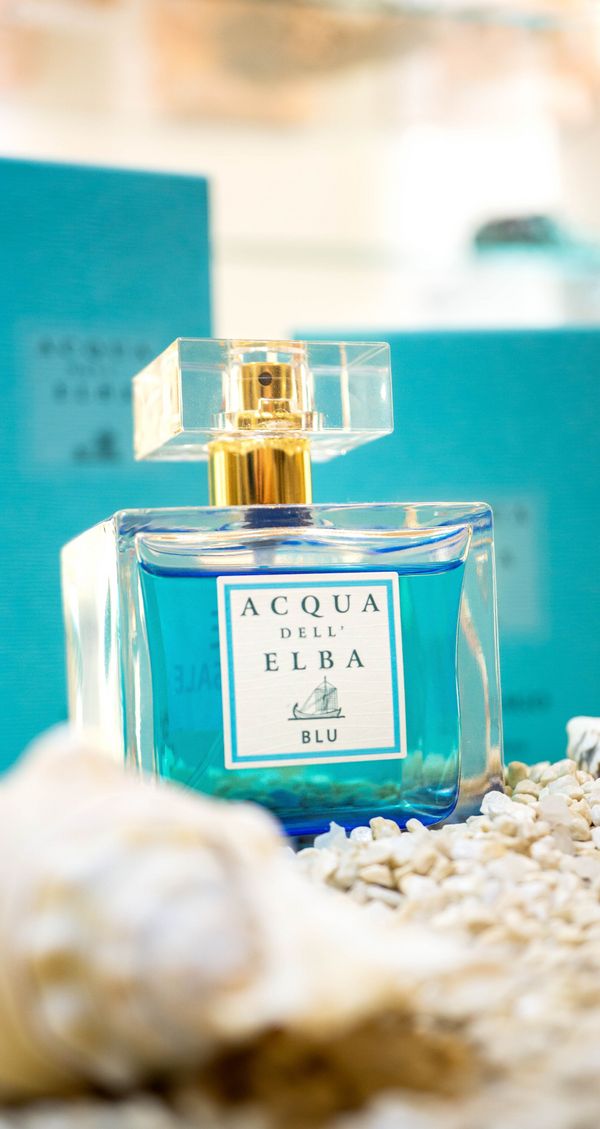 Beauty boutique perfume top