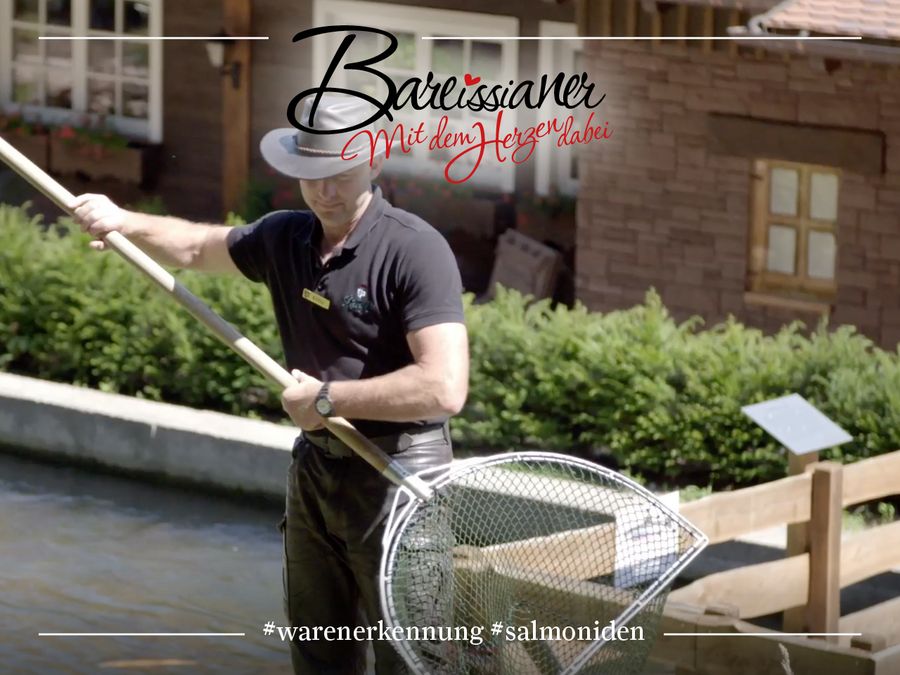 Der Fischwirt Richard Eifler, der einen Kescher in den Händen hält