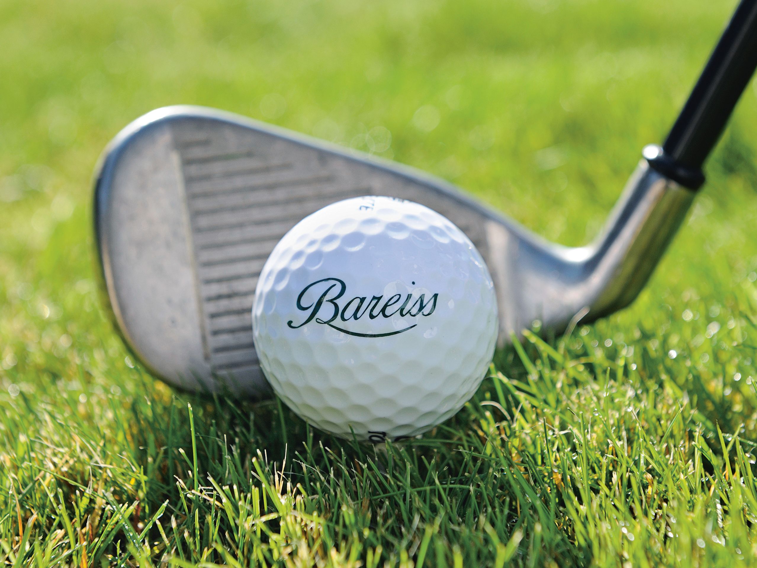 Detailaufnahme eines Golfschlägers vor dem ein Golfball liegt