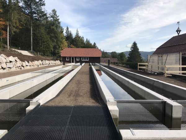 Ausblick auf die Becken der Forellenzuchtanlage des Hotel Bareiss