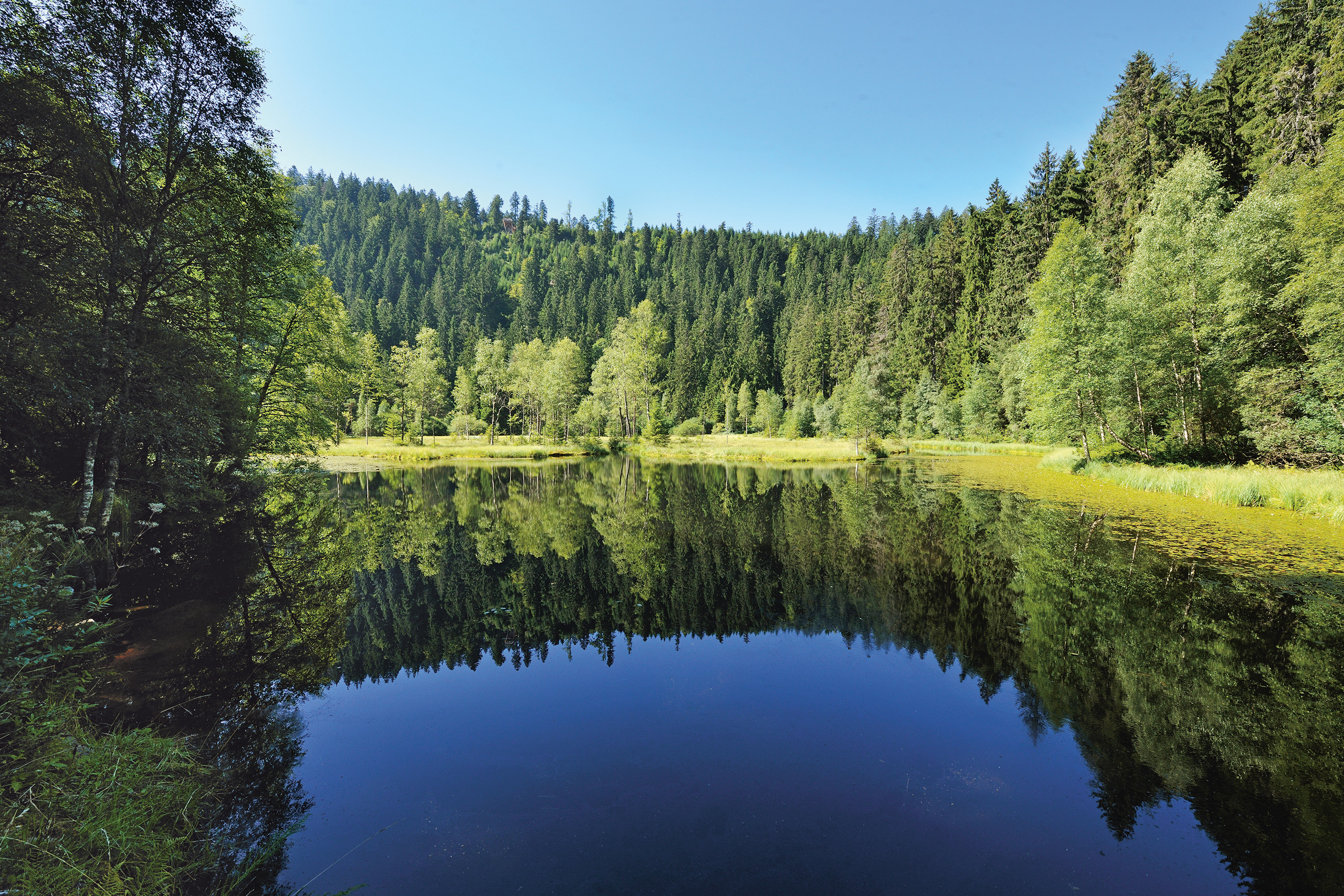 Schwarzwald kennenlernen
