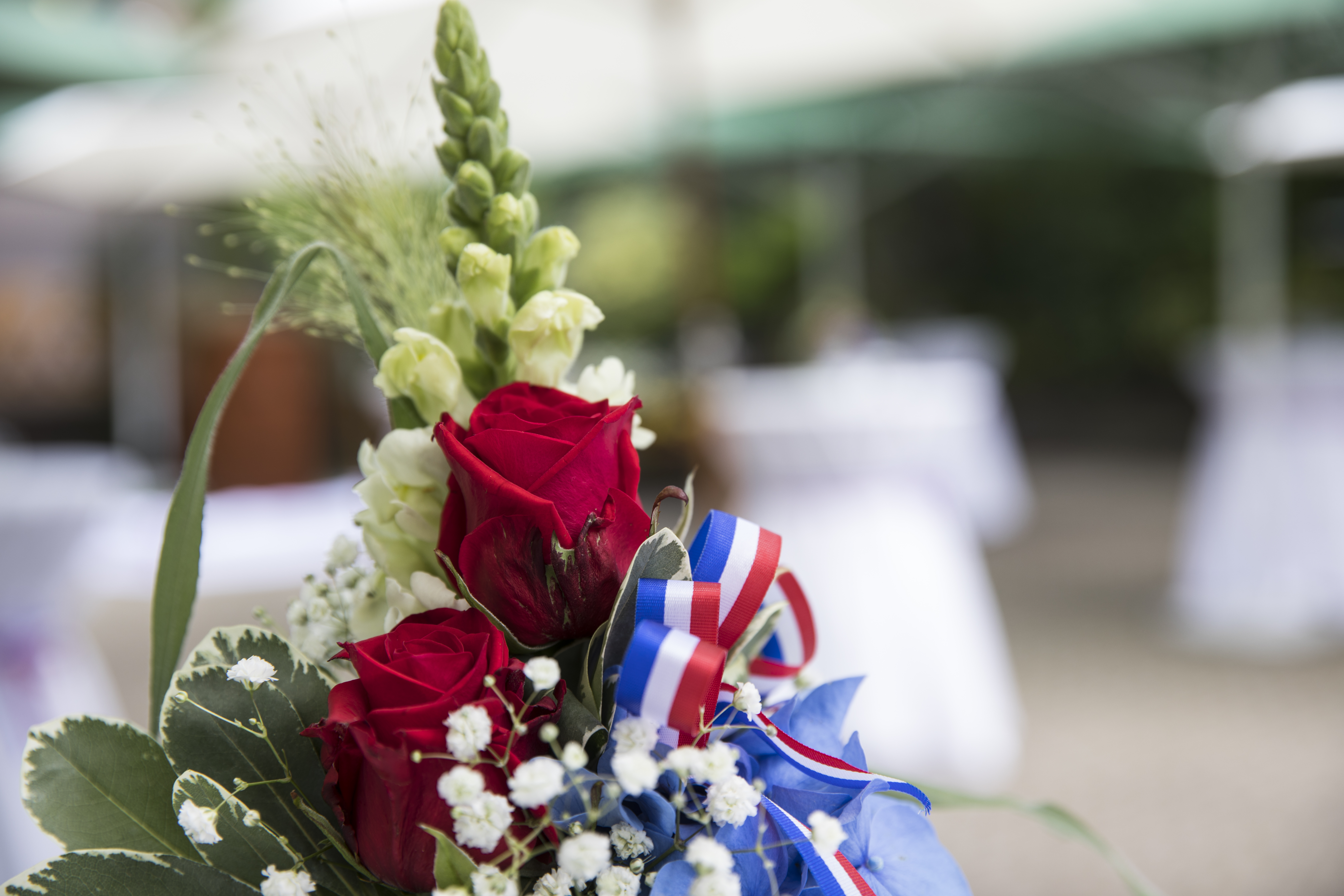 [Translate to français:] 